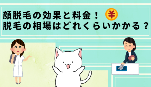 顔脱毛の効果と料金。人気のサロンと医療脱毛を比較