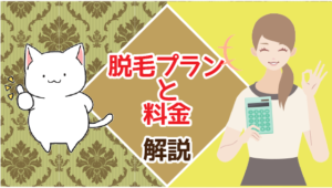 脱毛プランと料金の解説