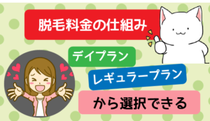 脱毛料金の仕組み「デイプラン」「レギュラープラン」から選択できる