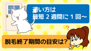 通い方は最短2週間に1回～脱毛終了期間の目安は？