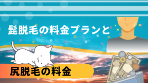 髭脱毛の料金プランと尻脱毛の料金